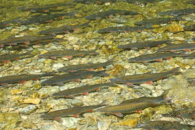 20240503141150_832198