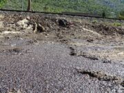 Katastrofa zbog industrijskog šećera u naselju Opine: Ko će odgovarati za masovni pomor pčela u Mostaru