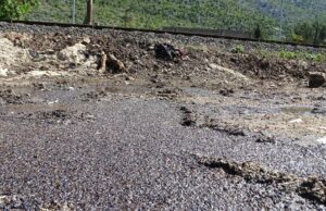 Katastrofa zbog industrijskog šećera u naselju Opine: Ko će odgovarati za masovni pomor pčela u Mostaru