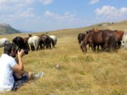 Livno nudi jedinstvenu avanturu sa divljim konjima
