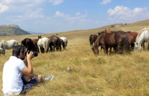 Livno nudi jedinstvenu avanturu sa divljim konjima