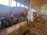 Farmeri u RS ogorčeni, tvrde da su poticaji u FBiH veći gotovo pet puta