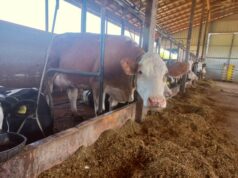 Farmeri u RS ogorčeni, tvrde da su poticaji u FBiH veći gotovo pet puta