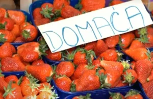 Zbog čega su domaće jagode ove godine toliko skupe: “Stigle su ranije, ali…”