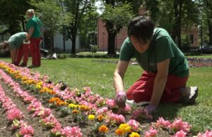 Realizovana akcija proljetno uređenje grada