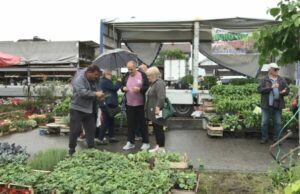 Cijene sada u Prijedoru slične kao i prošle godine