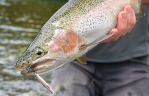 Zbog loših uslova pomjeren Varaličarski kup grada Prijedora
