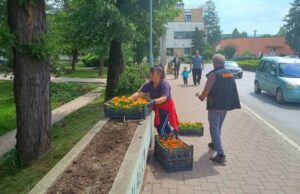 Sanski Most vratio epitet grada cvijeća