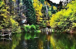 Hrvatska je zaštitila 38 posto svoje teritorije, Slovenija 40, a BiH samo 3 posto!