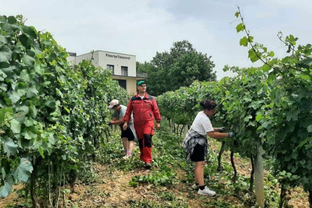 20240620162004_840924