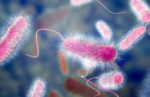 Ljudi misle da ih je “ubio” propuh, a zapravo su inficirani opasnom bakterijom: Jave se ljekaru s teškim komplikacijama