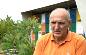 Ranija bagremova paša stvorila probleme pčelarima u Prijedoru