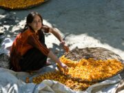 Ne znaju za rak: Jelovnik najzdravijeg naroda na svijetu