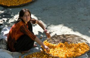 Ne znaju za rak: Jelovnik najzdravijeg naroda na svijetu