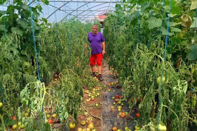 20240717161131_845660