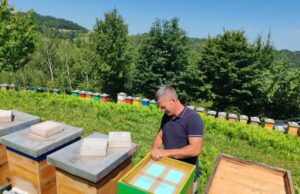 Kvalitet meda porodice Alibegić iz Velike Kladuše prepoznat i van granica BiH