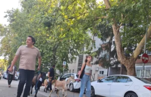 Doveli koze da ih napoje ispred “Vodovoda” u Banjaluci