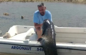 Trebinjac ulovio soma kapitalca u Bilećkom jezeru (FOTO)