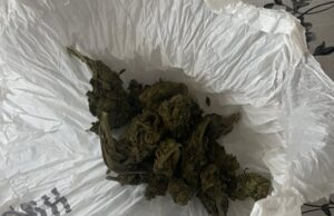 Pretresom pronađena droga, dva lica uhapšena