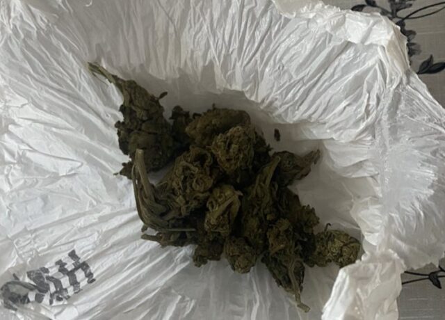 IMG-f53ea4f6a30eb33c8ff3598d3f0fa373-V