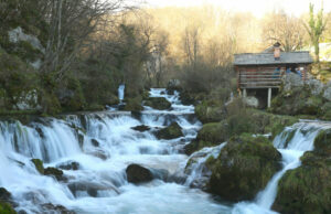 Totalni pomor ribe: Kompletan tok rijeke Krupe odveden u prihvat za lokalni ribnjak