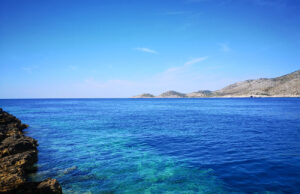 Temperatura Jadranskog mora zabrinjavajuće visoka što ostavlja posljedice na sav život u vodi