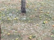 Snažno nevrijeme pogodilo dijelove BiH: Led, kiša i jak vjetar napravili su štetu