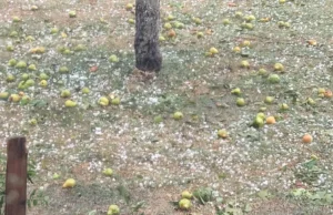 Snažno nevrijeme pogodilo dijelove BiH: Led, kiša i jak vjetar napravili su štetu