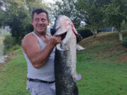 Kostajnica: U Uni ulovio soma teškog 31 kg