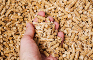 Počele pripreme za sezonu grijanja: Evo koliko košta pelet