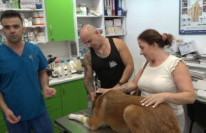 Posao veterinara težak ali i pun ljubavi