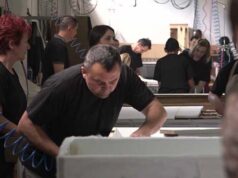 U Federaciji 1,84 miliona radno sposobnog stanovništva