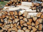 Cijena visoka: Hiljade kubika drva trunu zbog slabe prodaje