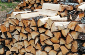 Cijena visoka: Hiljade kubika drva trunu zbog slabe prodaje