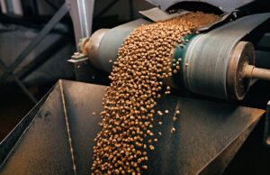 Agrinatura: Bosanskohercegovački lider u proizvodnji hrane za kućne ljubimce s velikim ambicijama