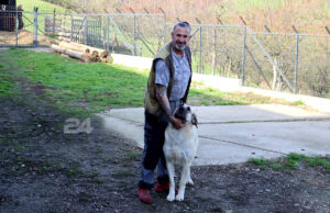 Došao u rodni kraj: Nećko Bejto uzgaja Kangale i autohtone domaće ovce Pramenke
