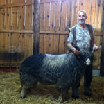 Foto: Prijedor24.com