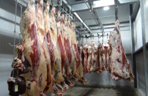 EU se po niskim cijenama rješava zamrznutog mesa i šalje ga u BiH