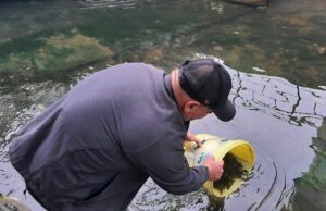 Poribljena rijeka Sana i njene pritoke