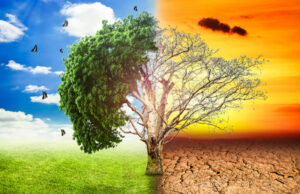 Ne smijem stajati i čekati – počnimo se prilagođavati