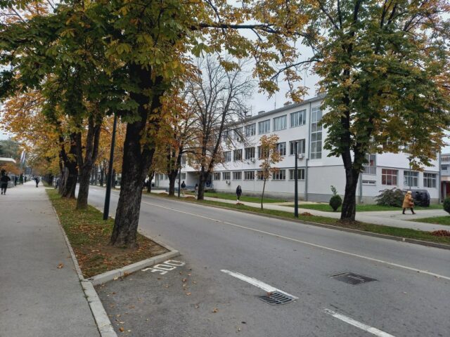 20241113_123808_1067x800