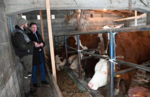 Od Ministarstva dobio 35.000 KM pa kupio šest krava