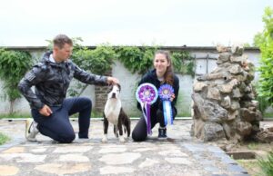 Prijedorčanin David Hajnešević ponosi se svojim stafordom