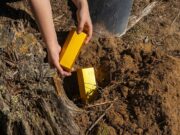 Gram zlata sve bliže cijeni od 200 BAM