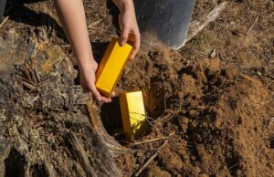 Gram zlata sve bliže cijeni od 200 BAM