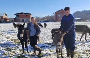 Porodica iz Prijedora uzgaja magarce – njihovo mlijeko ljekoviti eliksir