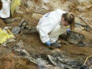 Na području istočne Bosne i Prijedora najviše nestalih u BiH: Traže se još 2.733 osobe, uključujući 173 djece i 574 žene