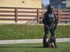 SIPA u akciji “Kanon” uhapsila službenika UIO BiH