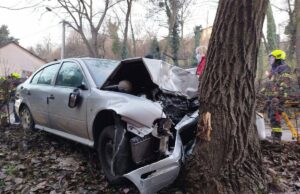 Škodom udario u drvo