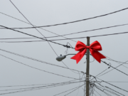 Vladin novogodišnji poklon građanima: Struja skuplja do 20 odsto